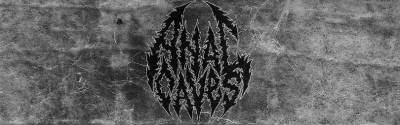 logo Anal Caves